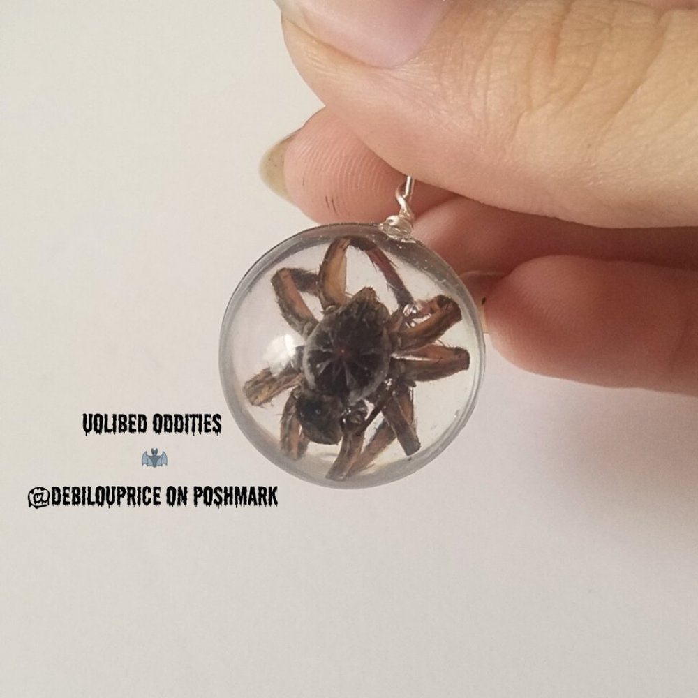 Real Spider Keychain